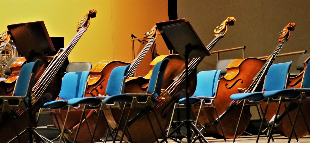 Orchestra Cellos Stock Photo
